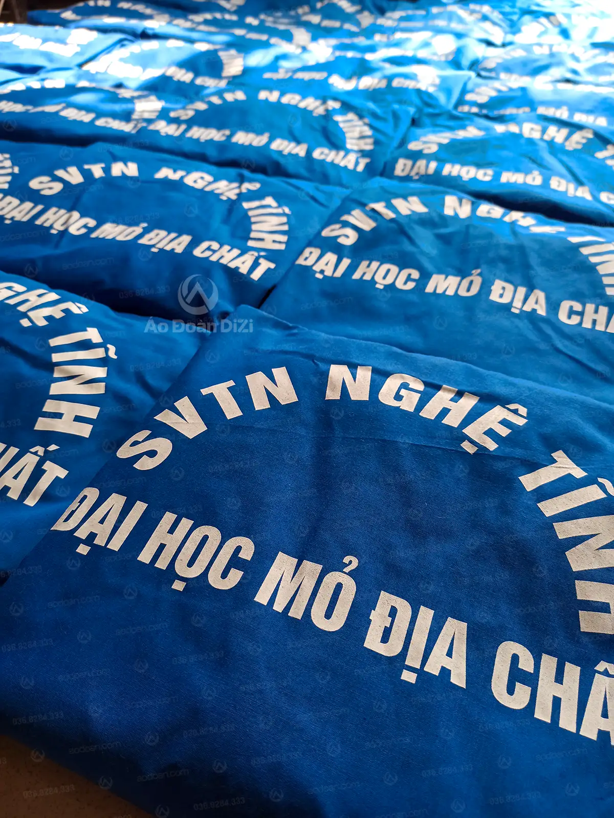 Sinh viên tình nguyện Nghệ Tĩnh